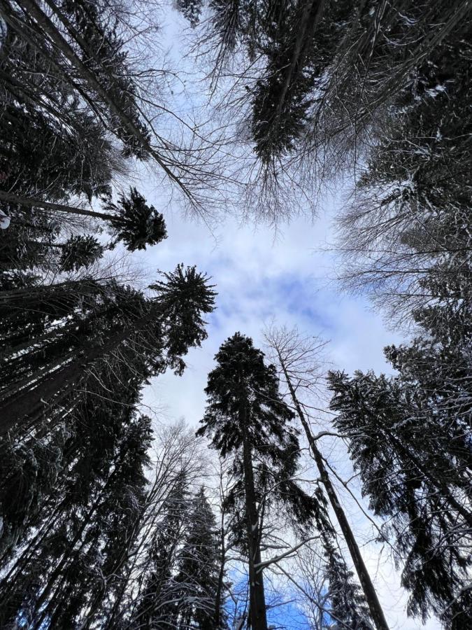 Садиба Between Mountains Міжгір'я Екстер'єр фото