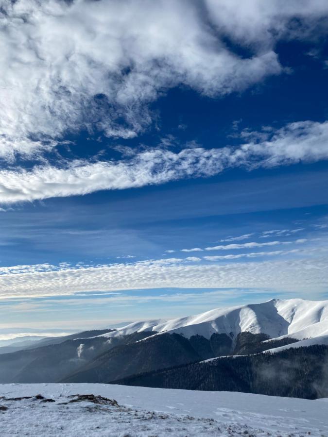 Садиба Between Mountains Mizhhirya  Екстер'єр фото