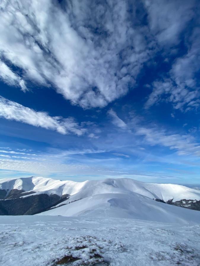 Садиба Between Mountains Mizhhirya  Екстер'єр фото