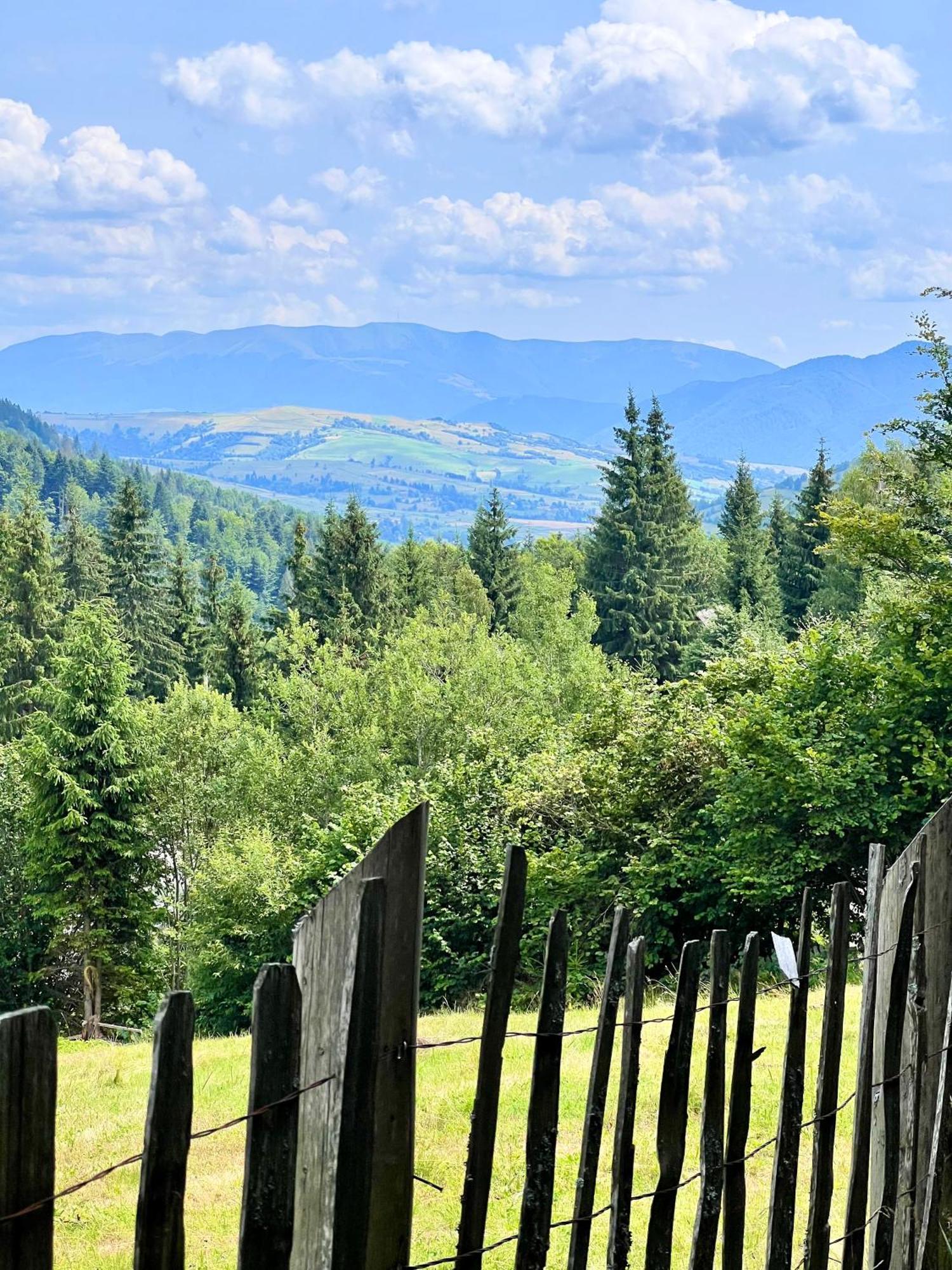 Садиба Between Mountains Mizhhirya  Екстер'єр фото