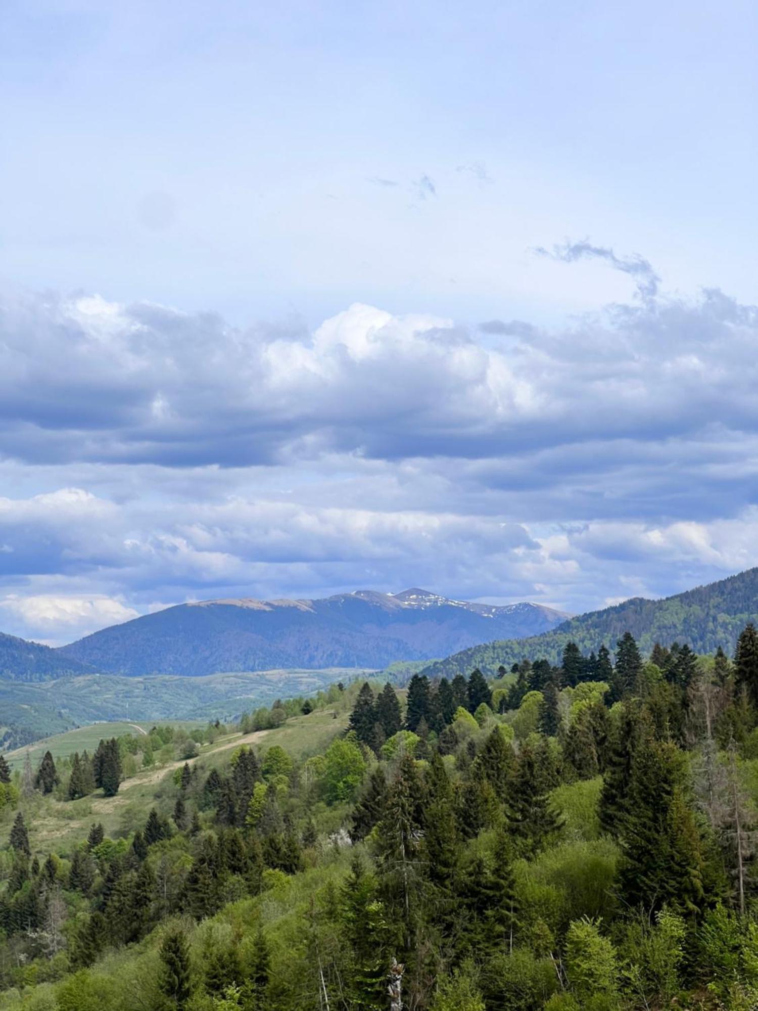 Садиба Between Mountains Mizhhirya  Екстер'єр фото